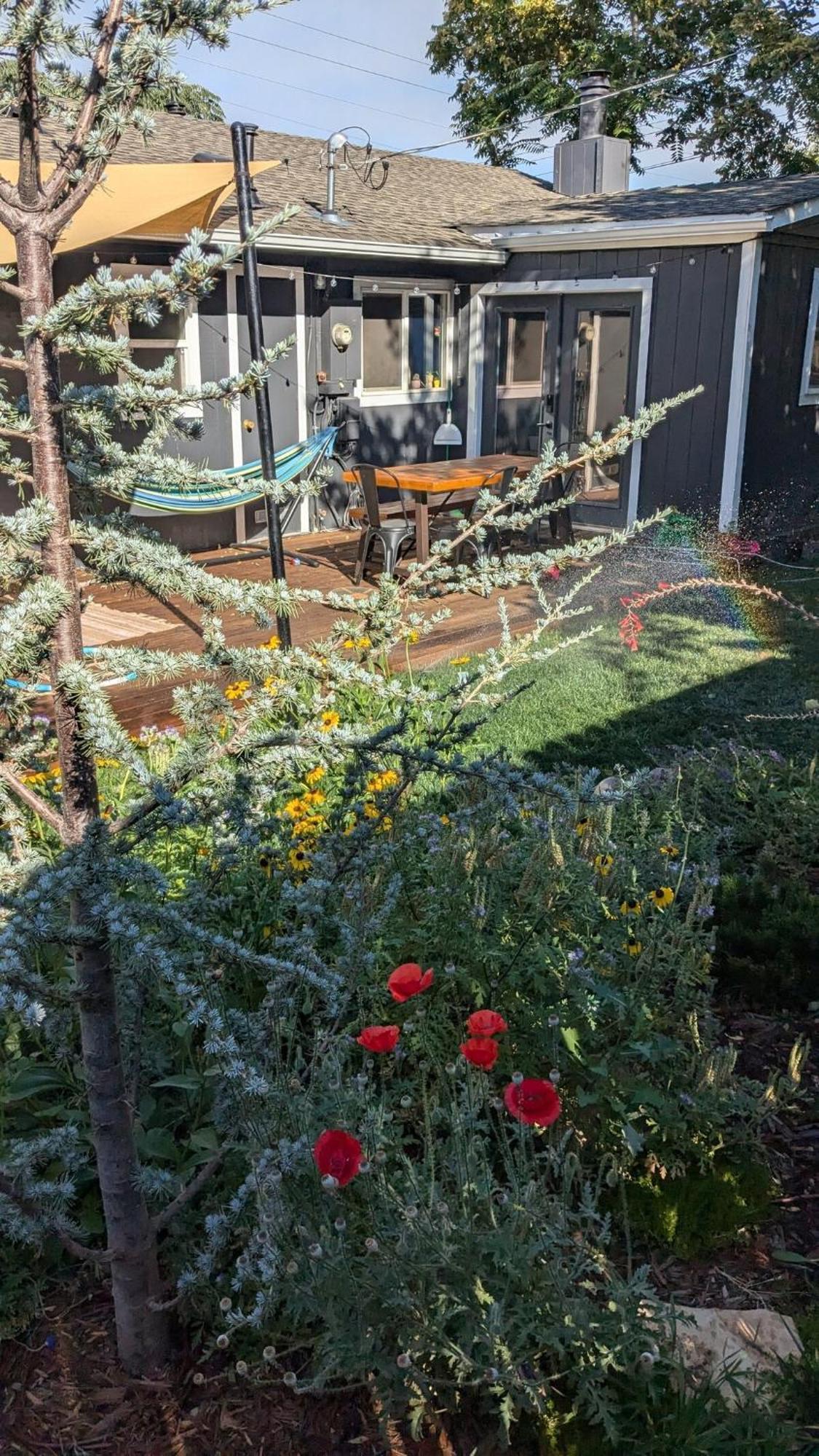 The Midtown Reno Orchard Vila Exterior foto
